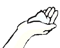 シャンプーの適量